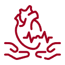 Procedimientos intervencionistas seguros